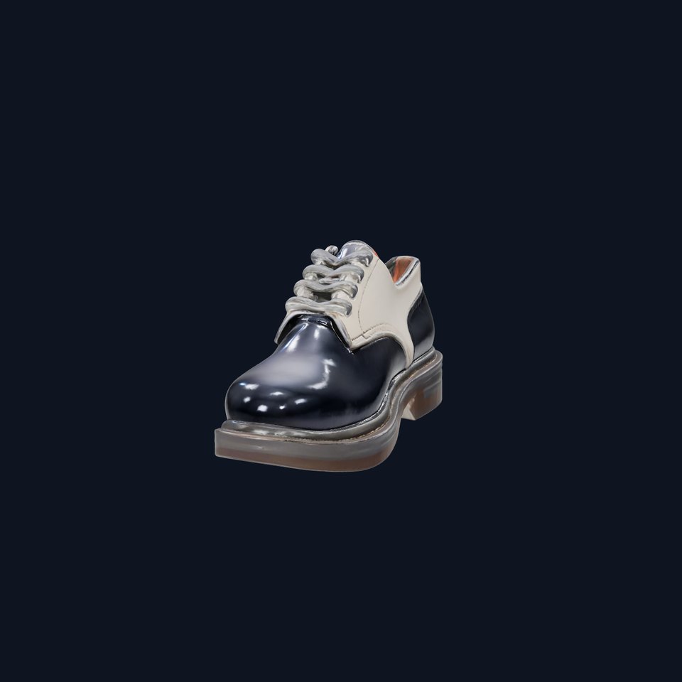 Elegant Leather Shoe model pack